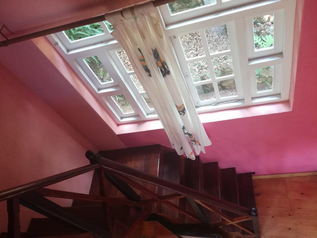 Sincere Wilderness Home Stay Нувара Елия Екстериор снимка